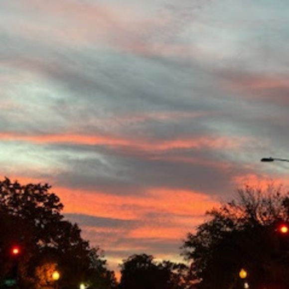 Meet your Posher, Sam - Picture 1 of 1